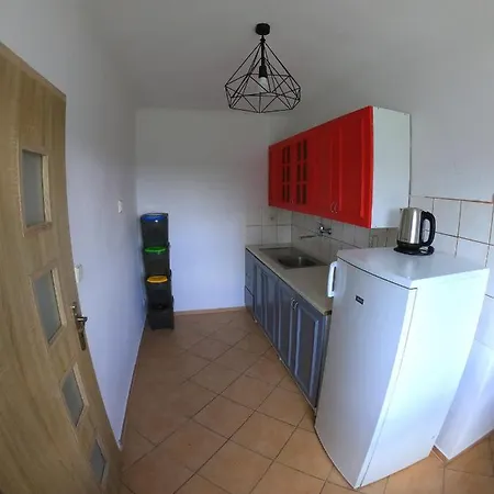 Penzion A Farma Na Boruvkovem Vrsku Bujanov Exterior photo