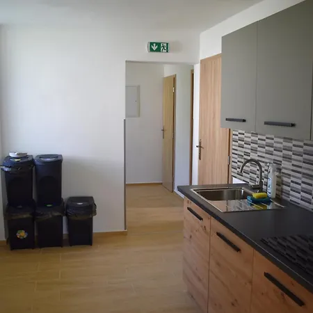 Penzion A Farma Na Boruvkovem Vrsku Bujanov Exterior photo